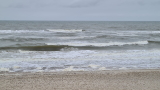 well-Strand (2)